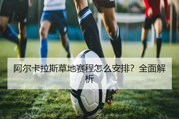 阿尔卡拉斯草地赛程怎么安排？全面解析