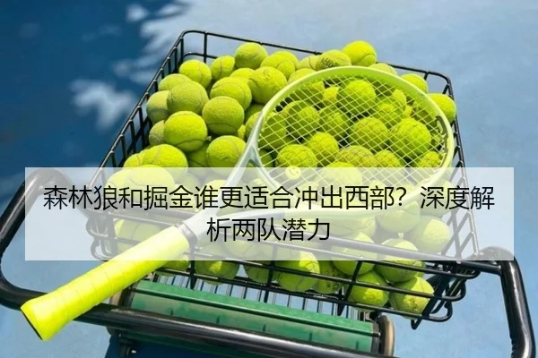 森林狼和掘金谁更适合冲出西部？深度解析两队潜力