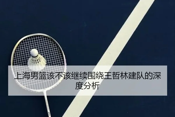 上海男篮该不该继续围绕王哲林建队的深度分析