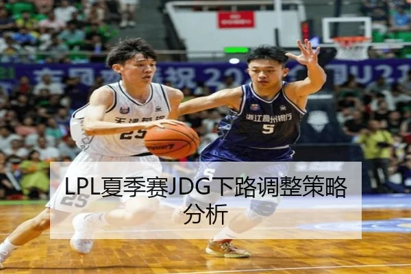 LPL夏季赛JDG下路调整策略分析